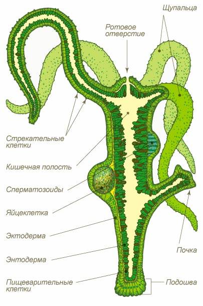 Ссылка блэкспрут bs2onion org